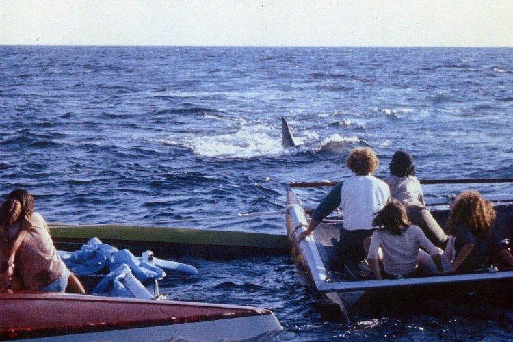 Jaws 2 - Meilleurs films de requins