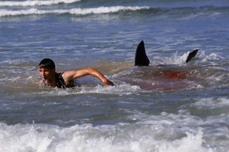 12 jours de peur - Meilleurs films sur les requins