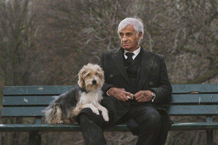 L'homme et son chien - les meilleurs films sur les chiens