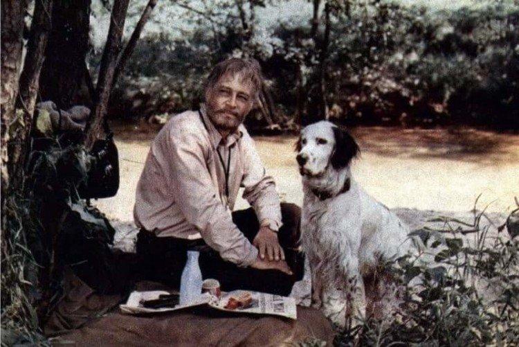 White Bim Black Ear - les meilleurs films sur les chiens