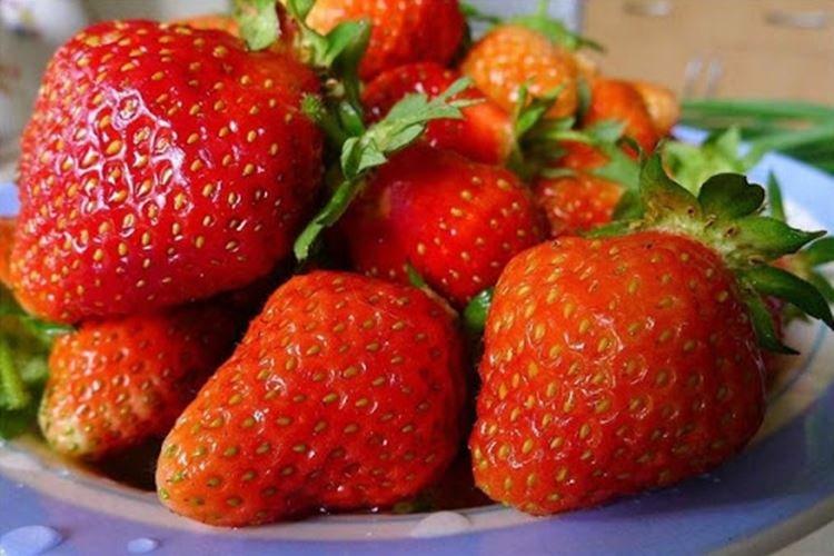 Lyubava - Les meilleures variétés de fraises remontantes