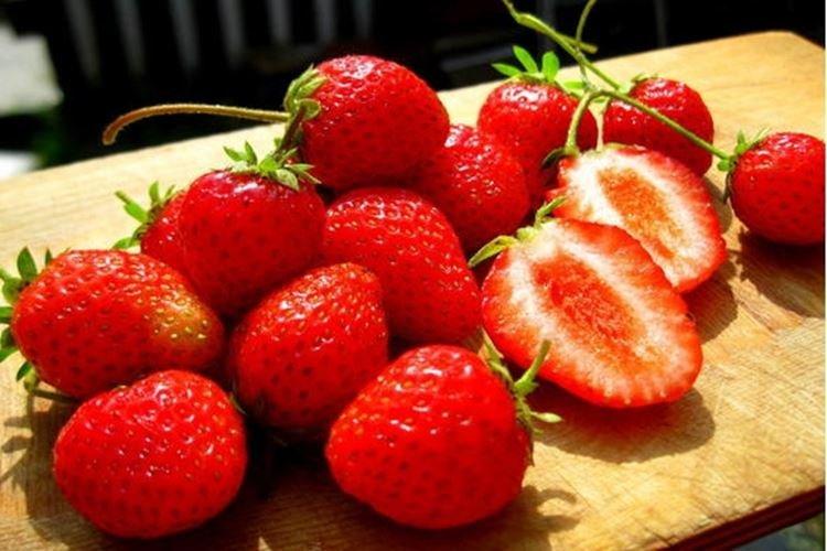 Mont Everest - Meilleures fraises Remont