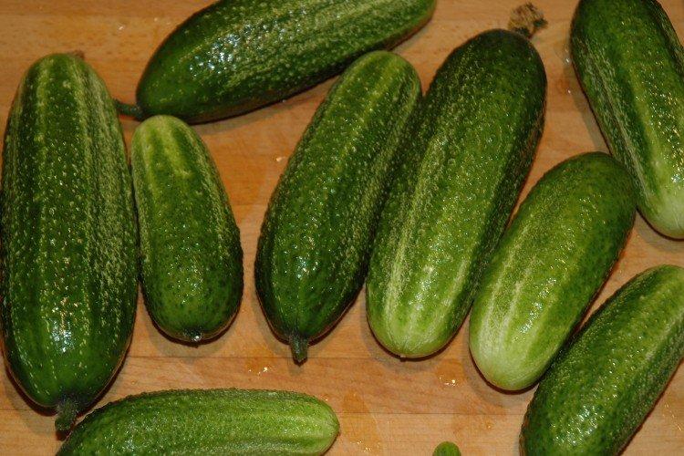 Benefis - Les meilleures variétés de concombres pour serres de la région de Moscou