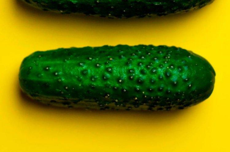 Suzanne - Variétés de concombre les plus productives