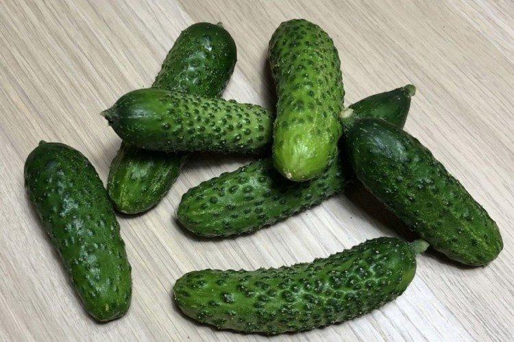 Chair de poule - Les meilleures variétés de concombres pour la région de Moscou