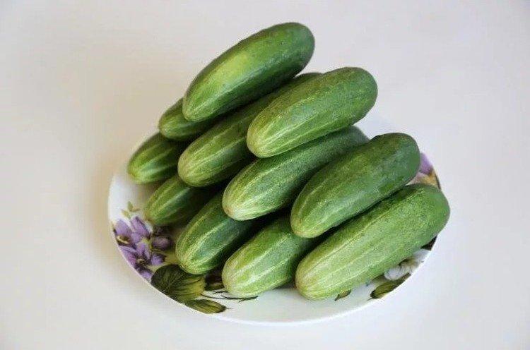 Erofey - Les meilleures variétés de concombres pour la région de Moscou