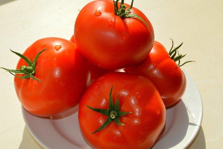 Ivet - Variétés de tomates pour serres et serres à film