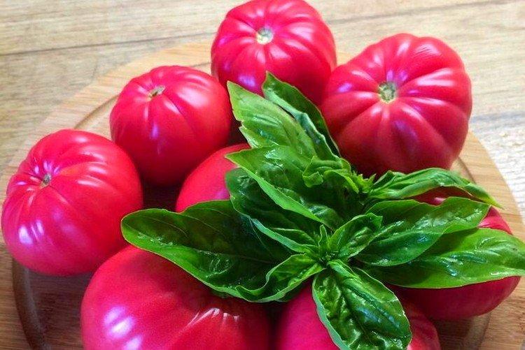 Romarin - Variétés de tomates les plus productives pour la serre