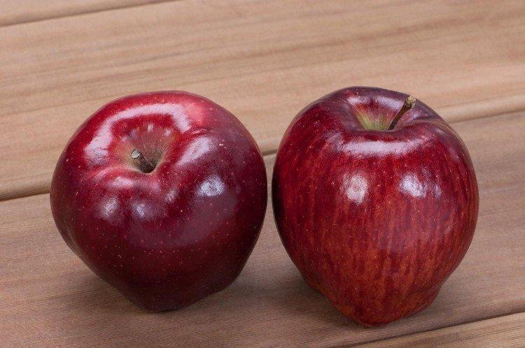 Red Delicious - Variétés de pommes rouges pour la région de Moscou