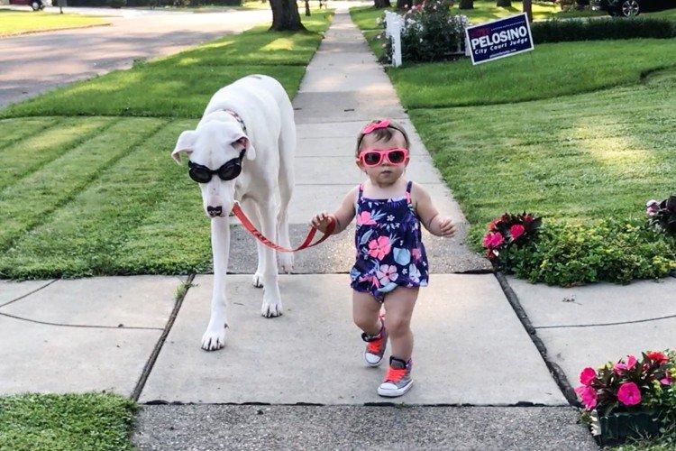 Phrase de mode - Les petits enfants et leurs grands chiens