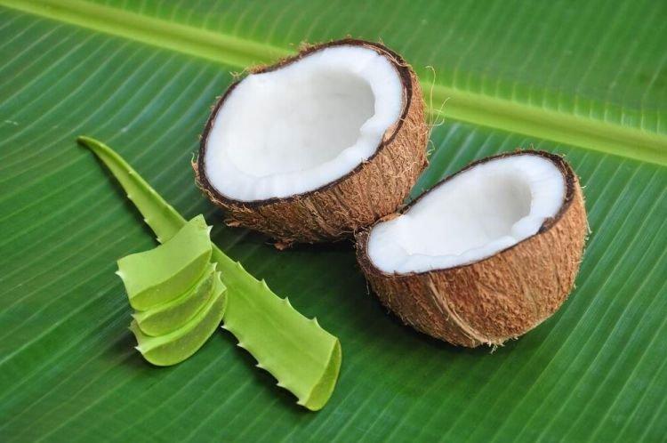 Masque capillaire à l'huile de coco et à l'aloès