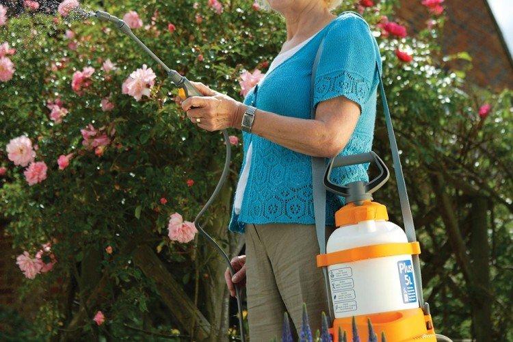 Sulfate de cuivre de champignon - utilisation en jardinage