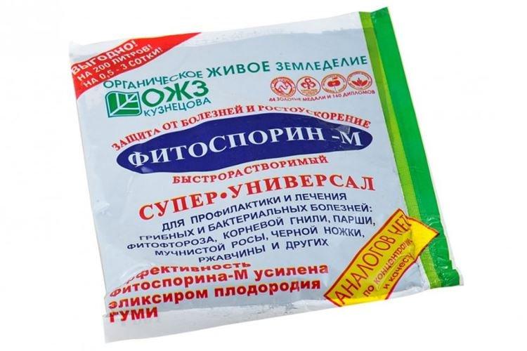 Fitosporin - Traitement des groseilles contre l'oïdium