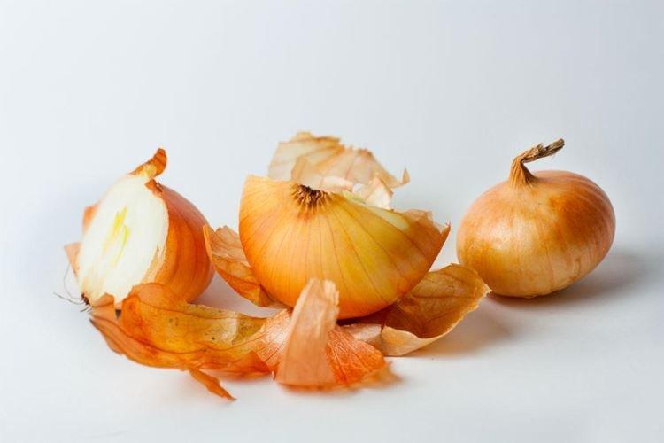 Pelure d'oignon - Remèdes populaires contre l'oïdium sur les groseilles à maquereau