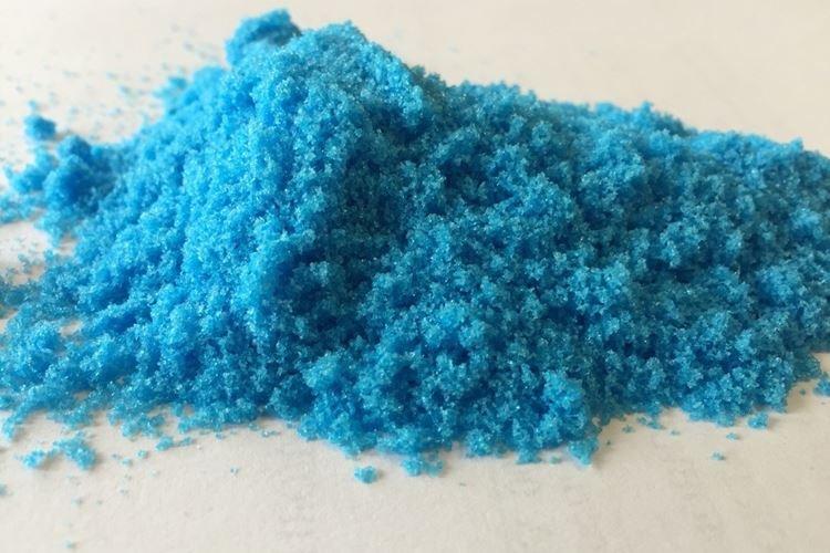 Sulfate de cuivre - Traitement de la rose de l'oïdium