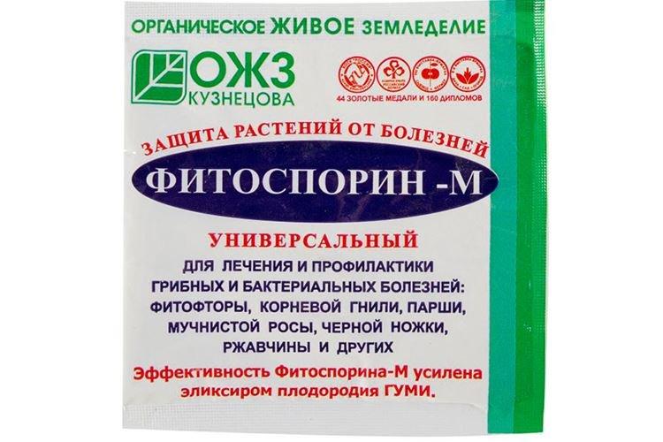 Fitosporin - Traitement des roses contre l'oïdium