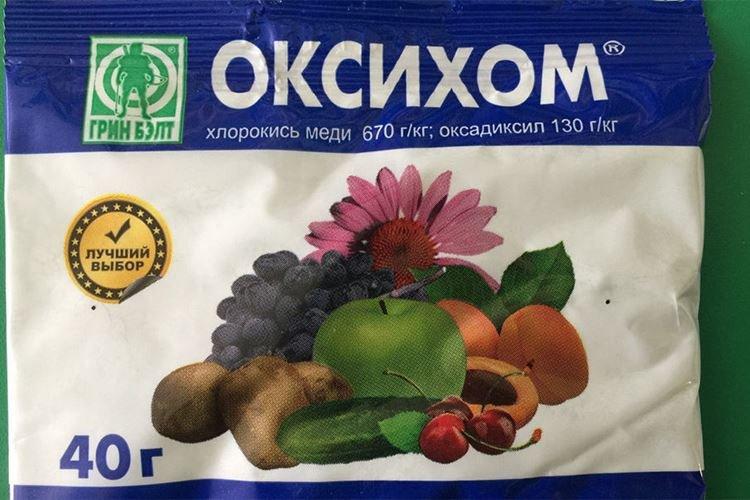 Oxyhom - Traitement des roses contre l'oïdium