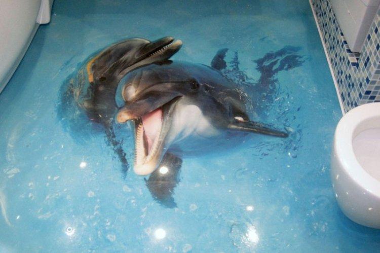 Sols 3D autonivelants dans la salle de bain - photo