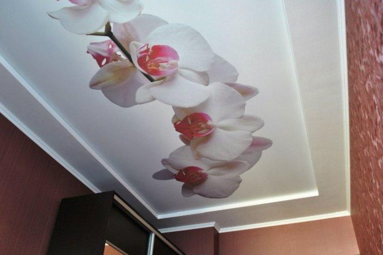 Plafonds tendus avec impression photo dans le couloir