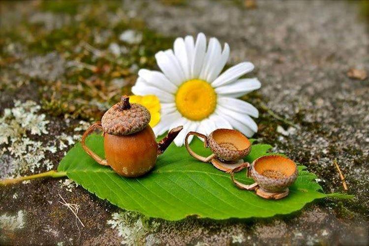 Bricolage artisanat d'automne à la maternelle - photos et idées