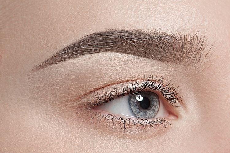 Technique Poudre - Maquillage Permanent des Sourcils