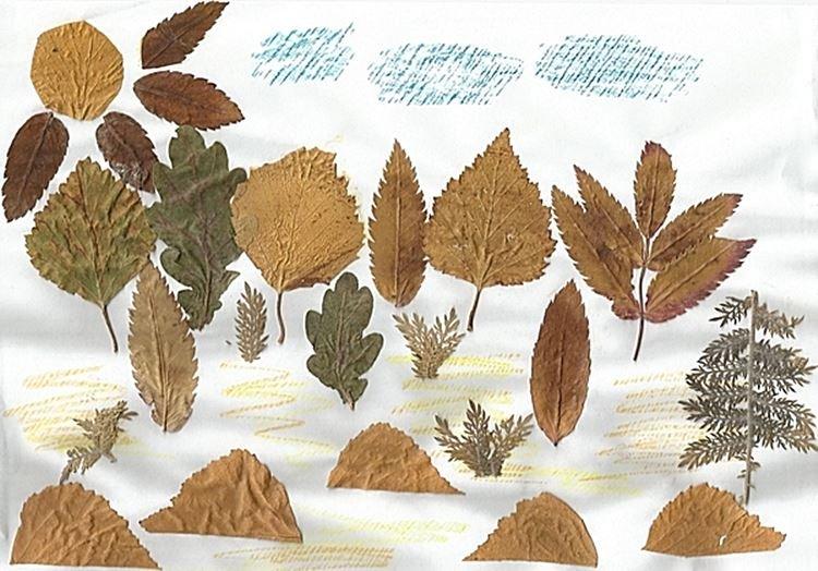 Artisanat de feuilles d'automne pour enfants - photos et idées