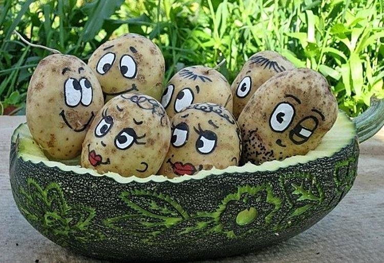 Artisanat de légumes pour la maternelle - photos et idées