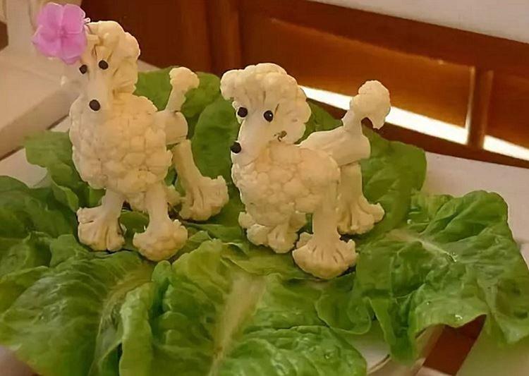 Caniche chou-fleur - Artisanat de légumes pour l'école