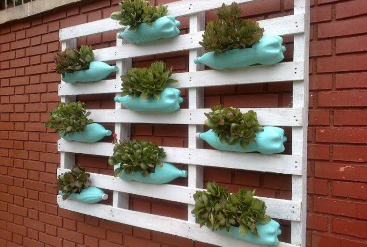 Mur végétal - Bricolage à partir de bouteilles en plastique
