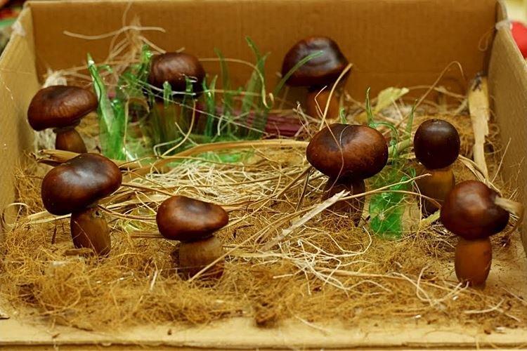 Artisanat à partir de matériaux naturels pour l'école primaire - photos et idées