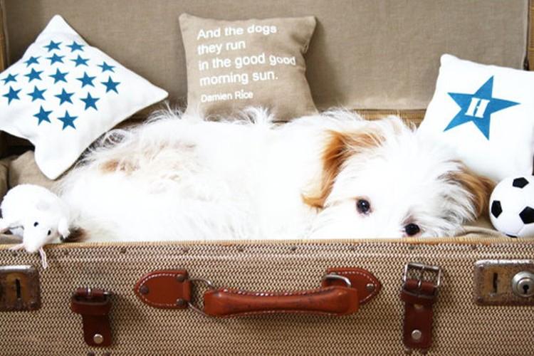 Artisanat d'une vieille valise - Artisanat de vieilles choses de vos propres mains