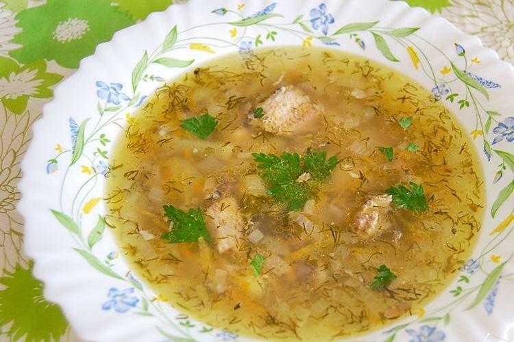 Soupe de poisson balaou en conserve à l'huile - recettes