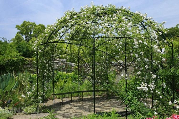 Gazebos de jardin vivants