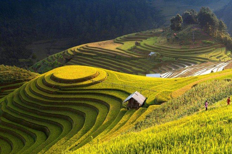 Rizières en terrasses à Mu Cang Chai, Vietnam - Les plus beaux endroits du monde