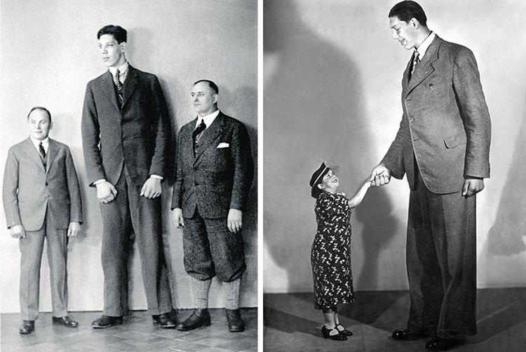 Wayno Müllirinne - Les personnes les plus grandes du monde