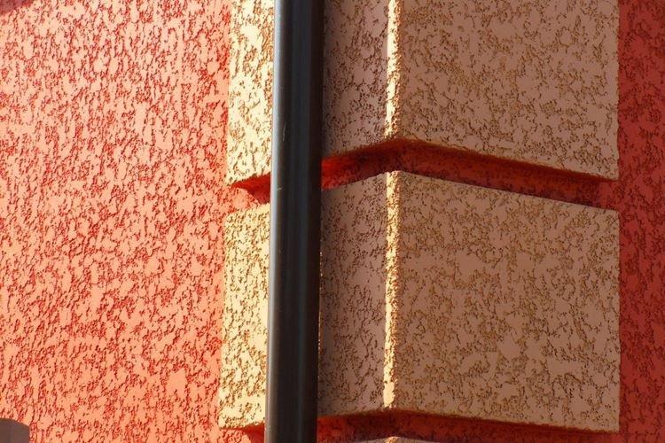 Coléoptère du plâtre pour façades - photos et idées