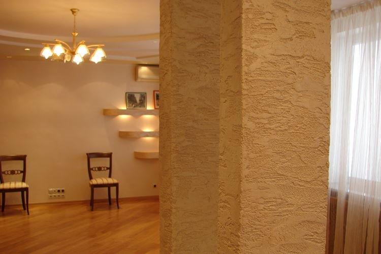 Coléoptère du plâtre à l'intérieur - photos et idées