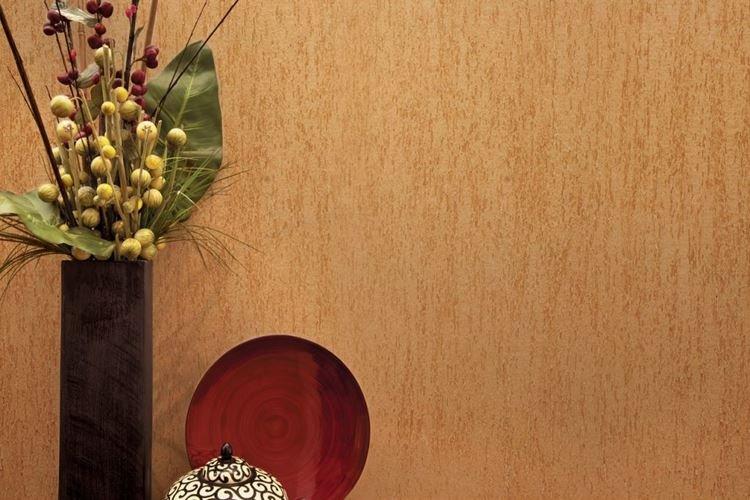 Coléoptère du plâtre à l'intérieur - photos et idées