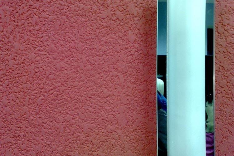 Coléoptère du plâtre à l'intérieur - photos et idées