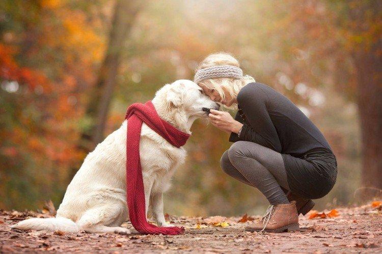Amour et attention - Combien de temps vivent les chiens ?