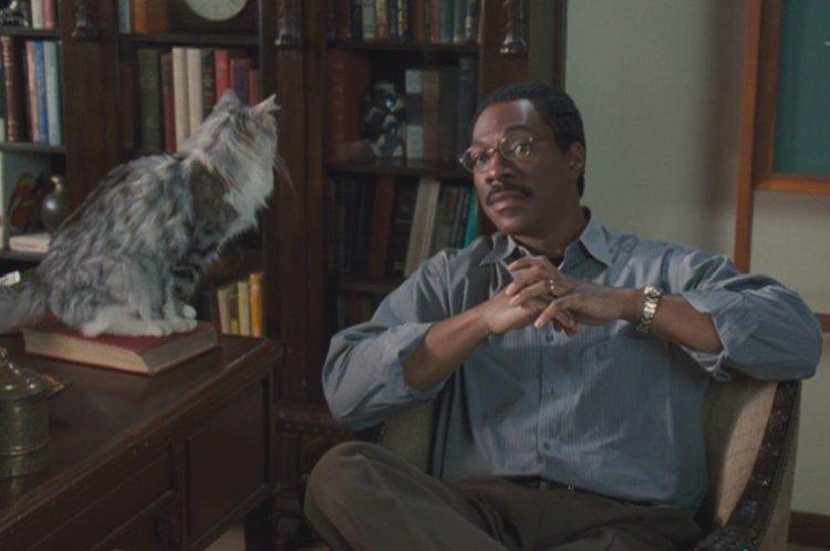 Docteur Dolittle - Comédie aux larmes