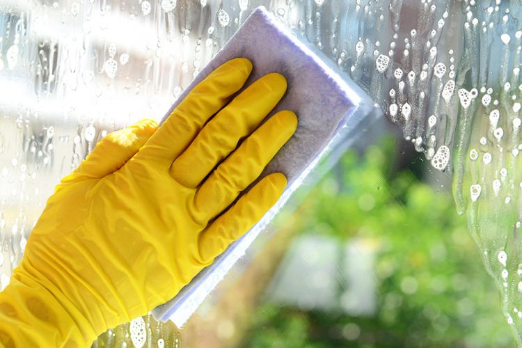 Inconvénients et caractéristiques - Cloisons vitrées dans l'appartement