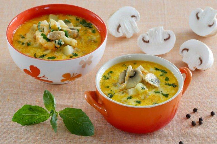 Soupe rapide à la viande hachée - recettes de soupes pour tous les jours